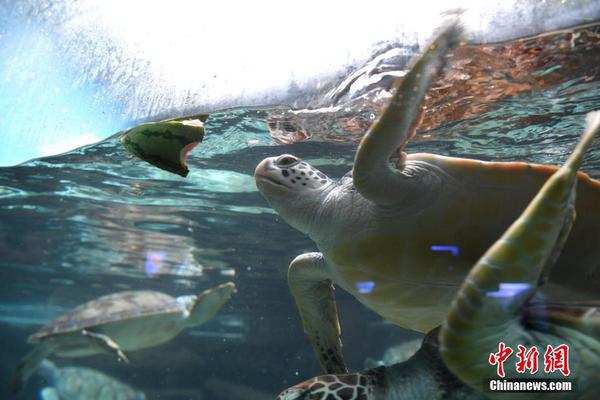 A local school district announced it will introduce coding classes for elementary school students starting next semester