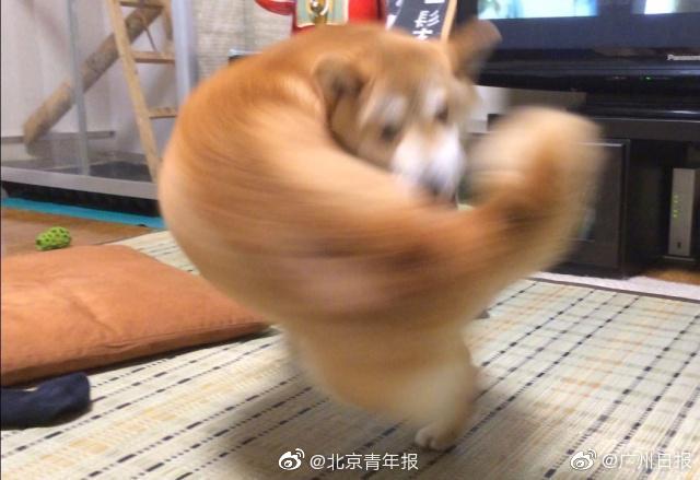 A city launched a program to help homeless individuals find permanent housing and employment