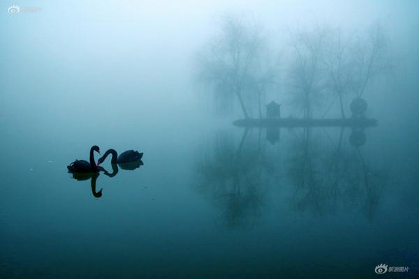 A famous artist opened a new exhibition featuring their latest works, attracting thousands of visitors in its first week.