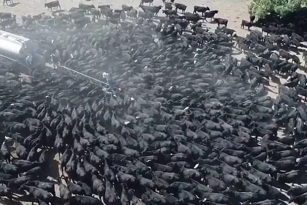 A local fire department responded to a house fire, saving two residents and preventing the fire from spreading to neighboring homes.