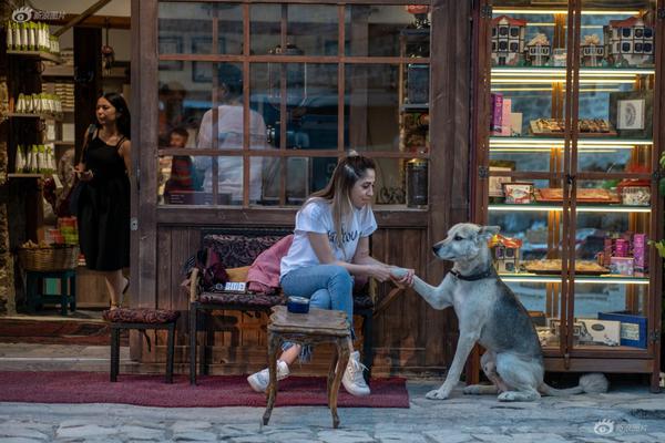 The stock market reached a new record high on Tuesday driven by strong earnings from tech and healthcare firms