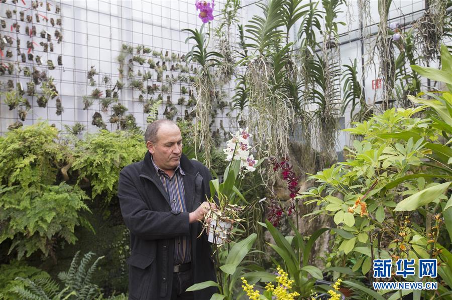Scientists captured rare footage of a endangered whale species in the deep waters of the Pacific Ocean