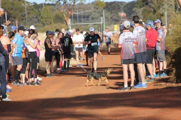 Animal shelter holds adoption event to find homes for 75 dogs and cats