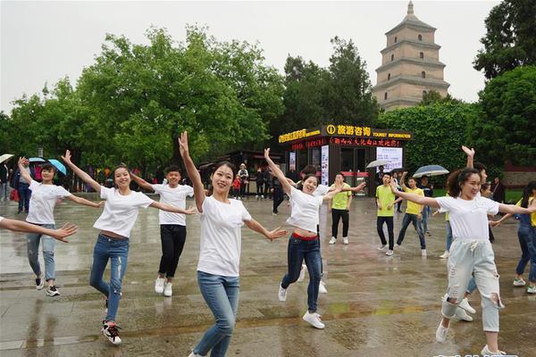 A pet rescue organization started a 