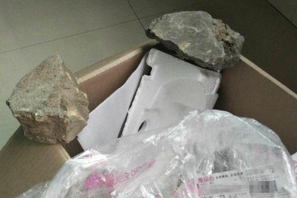 A new study indicated that keeping pets can improve the mental health of the elderly