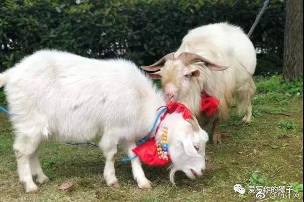 A farm started selling homemade jams, jellies, and preserves made from its own fruit