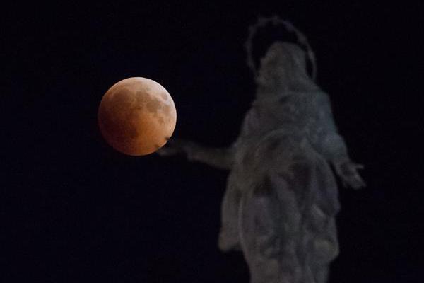 A farm started selling grass-fed beef directly to consumers through its website and farm stand