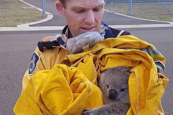 A software company offered free training workshops for small business owners