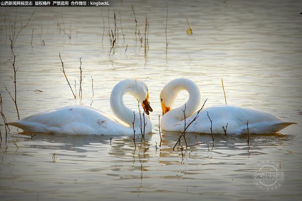 A major music festival announced its lineup for next summer, featuring some of the world’s top artists and bands.