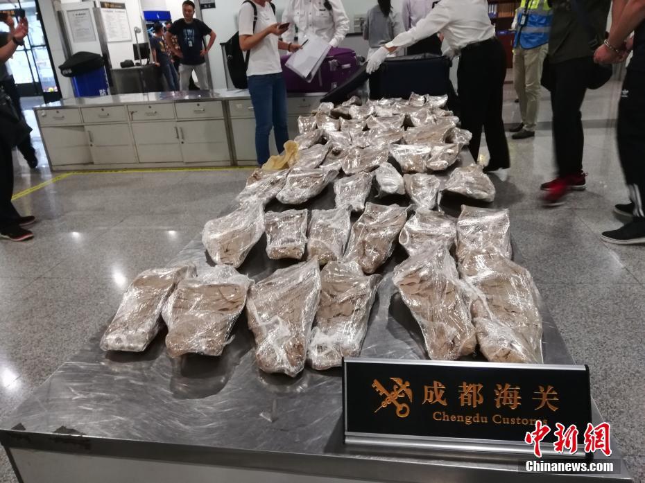 A music award ceremony was held last night with a rising star taking home the top prize for Best New Artist