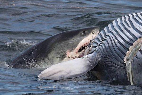 The city introduced a new parking system to reduce traffic congestion downtown