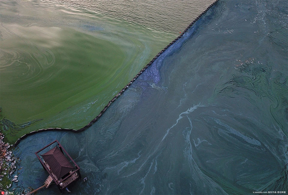 A celebrity chef cooked a meal for homeless people at a shelter