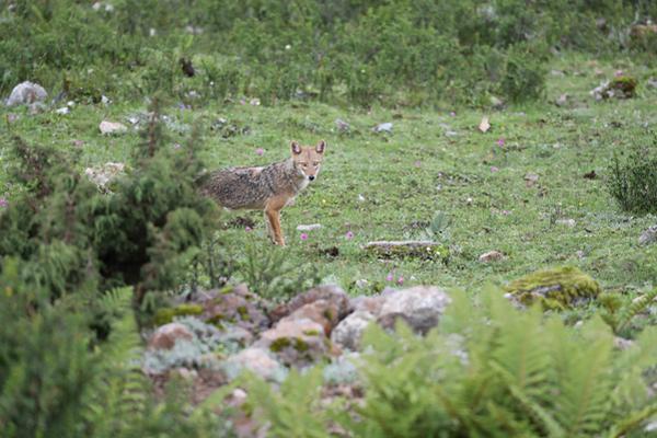 The federal reserve stated it will maintain current interest rates to support economic recovery