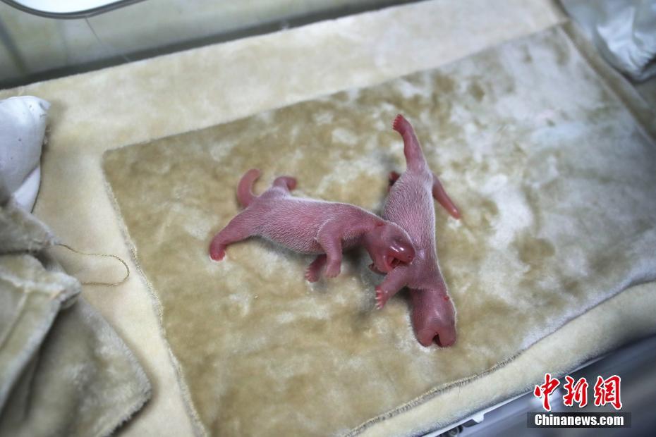 A heatwave in the western states pushed temperatures to 110°F forcing schools to close early