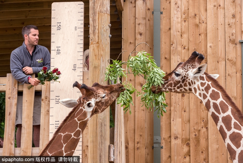 The government provided financial assistance to small businesses affected by a recent storm