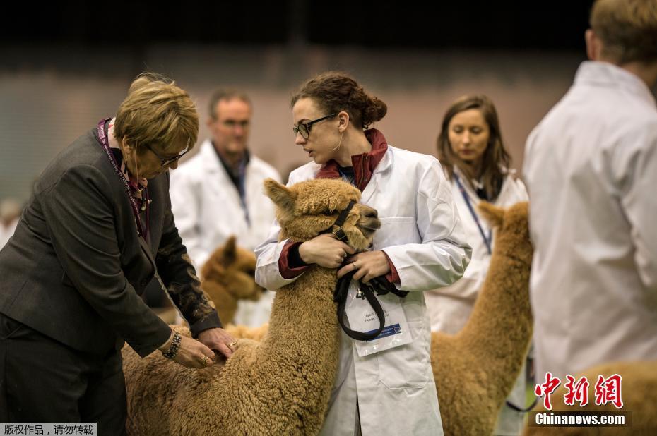 Farmers reported a surge in demand for organic dairy products following new health trend reports