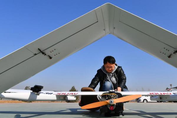 A new zoo exhibit opened featuring rare primate species from the rainforests of Africa