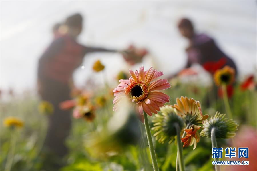 A major airline announced it would eliminate single-use plastics on all its flights by next year