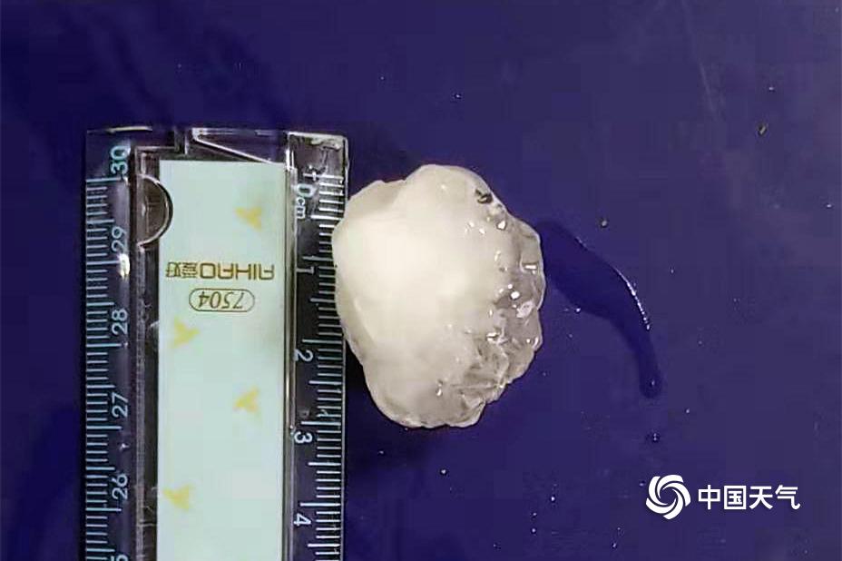 The government built new affordable housing complexes in urban areas with high rent costs