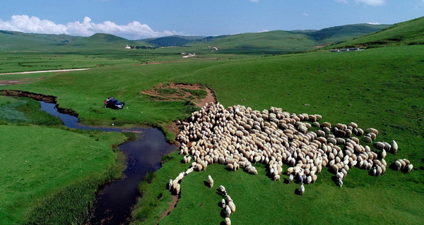 The city council approved a project to build a new skate park and sports complex