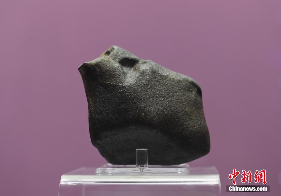 A local community organized a festival to celebrate cultural diversity featuring music dance and food from different countries