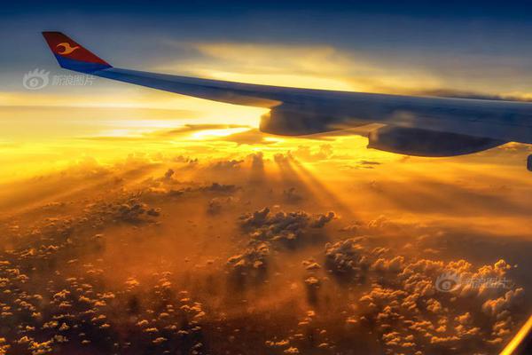 Local residents signed a petition against the closure of a community garden to build a parking lot