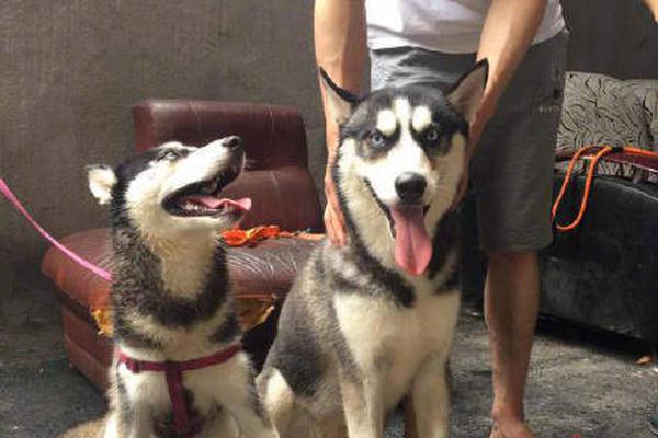 A bookstore hosted a poetry reading event with local poets