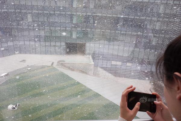 The government launched a campaign to encourage people to eat more fruits and vegetables