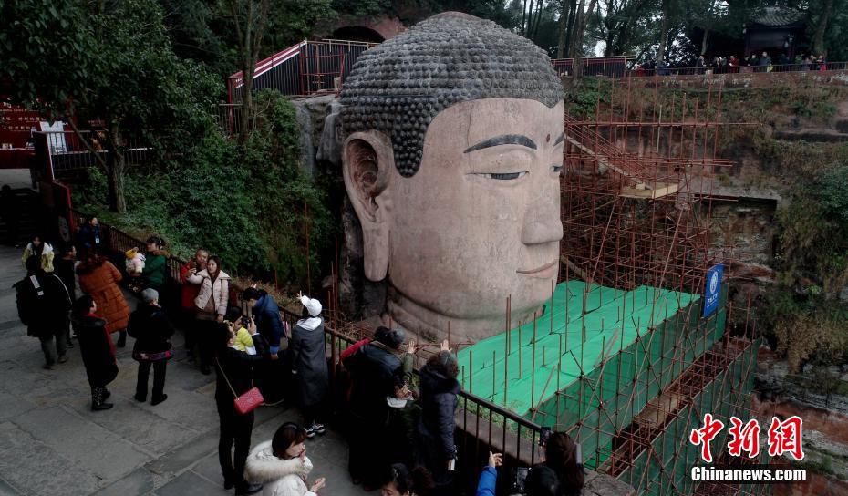 Veterinarians report rise in cases of pet obesity in urban areas