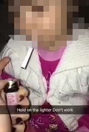 Wildlife sanctuary releases rehabilitated foxes back into natural habitat