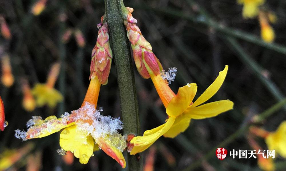 Skateboard competition features professional riders competing for cash prizes