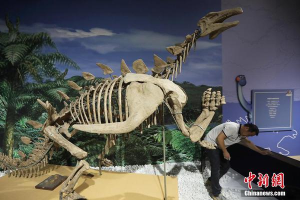 Gymnastics team wins first place at national competition