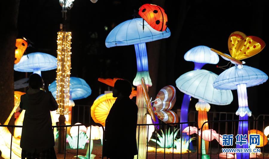 A charity organization provided free school supplies to low income children