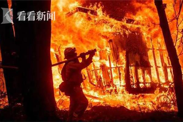 A volleyball team qualified for the Olympic Games after winning the continental qualifier