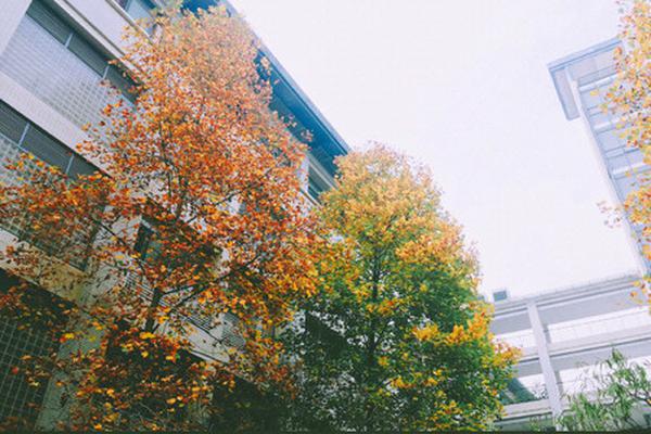 A clothing brand collaborated with a popular social media influencer to design a limited edition line