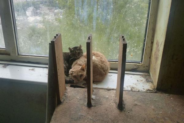 A university research team developed a new battery that charges in 15 minutes and lasts longer