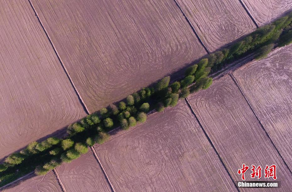 A hospital started a home care program for elderly patients who need regular medical checkups