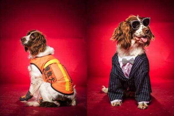 Scientists developed a new type of battery that charges twice as fast as current models