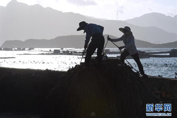 The country’s export of agricultural products set a new record this year