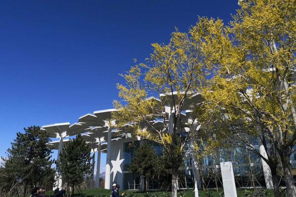 Engineers develop portable water purification system for disaster relief