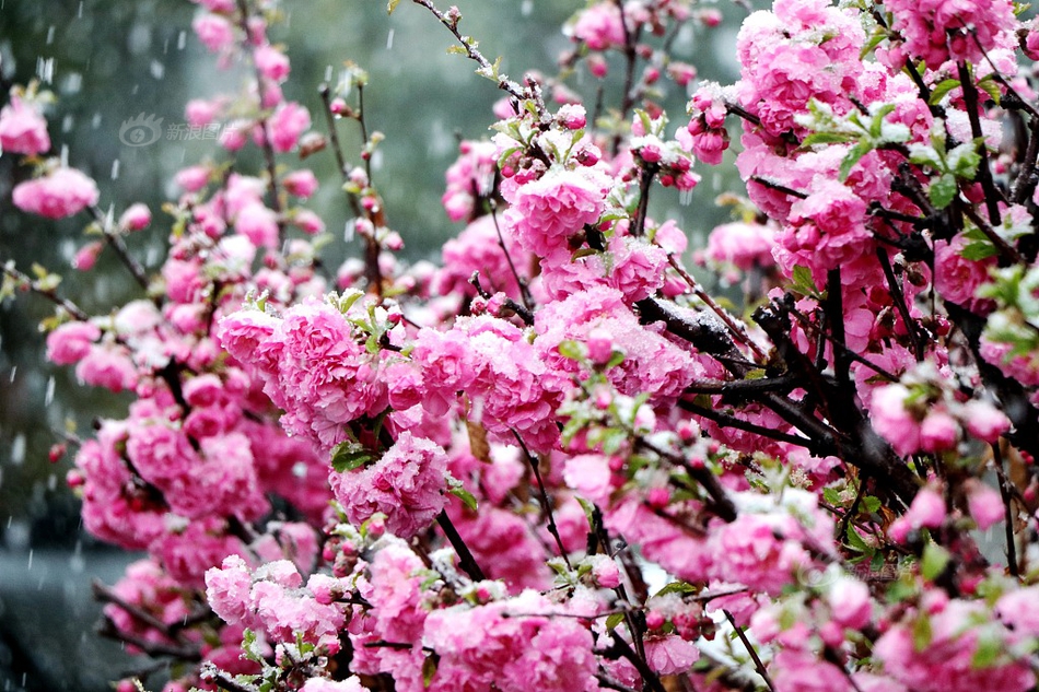 Coffee shop sources coffee beans directly from small farms in Central America