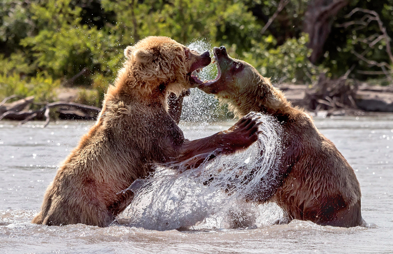 The national soccer team won their first match in the World Cup defeating a defending champion with a score of 2-0