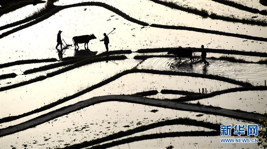 A pharmaceutical firm reported positive results from trials of a new drug for treating Parkinson’s disease