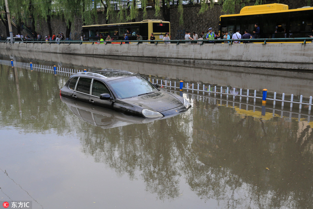 A tech startup launched an app that helps users track their carbon footprint