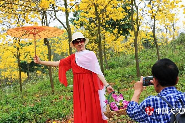 A local high school’s soccer team won the state championship after a 3-0 victory in the final