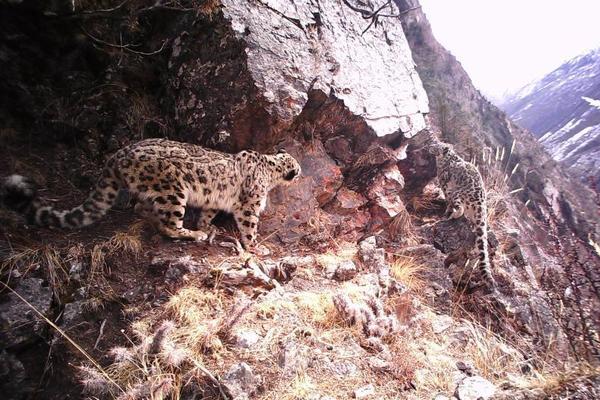 The city council voted to ban single use plastic bags in all retail stores