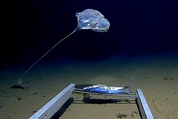 Survey finds 65% of employees want more professional development opportunities