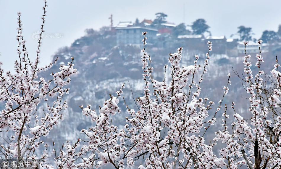 Dance troupe performs at international festival in Paris