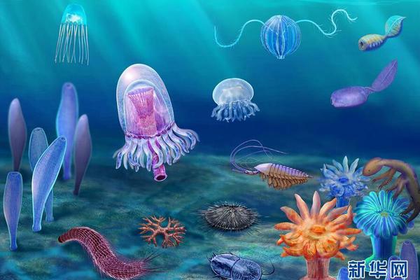 A study found that drinking plenty of water can improve skin health and reduce the appearance of wrinkles