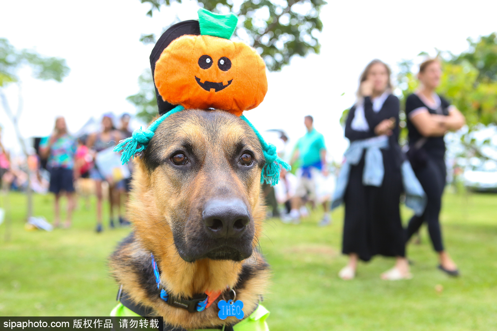 Scientists developed a new battery that is more durable and eco-friendly